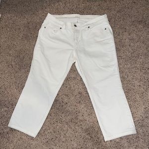 Ann Taylor Loft Modern Crop 30 / 10P Low Rise